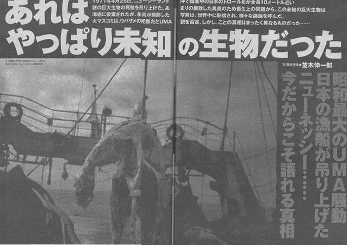 猎奇:1977年,瑞洋丸号太平洋海怪到底是蛇颈龙,还是其他生物?