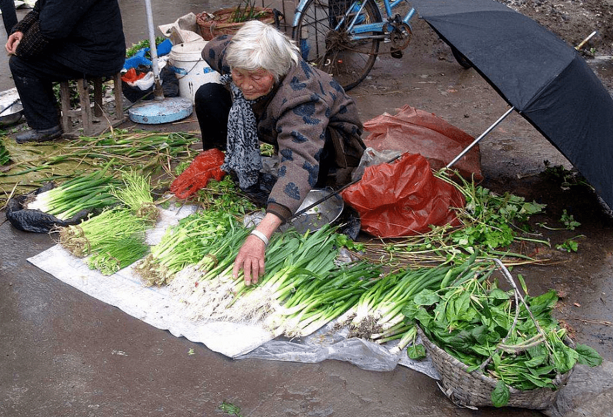 各大互联网巨头都纷纷入局,可以说是严重打击到了卖菜卖水果的小贩了