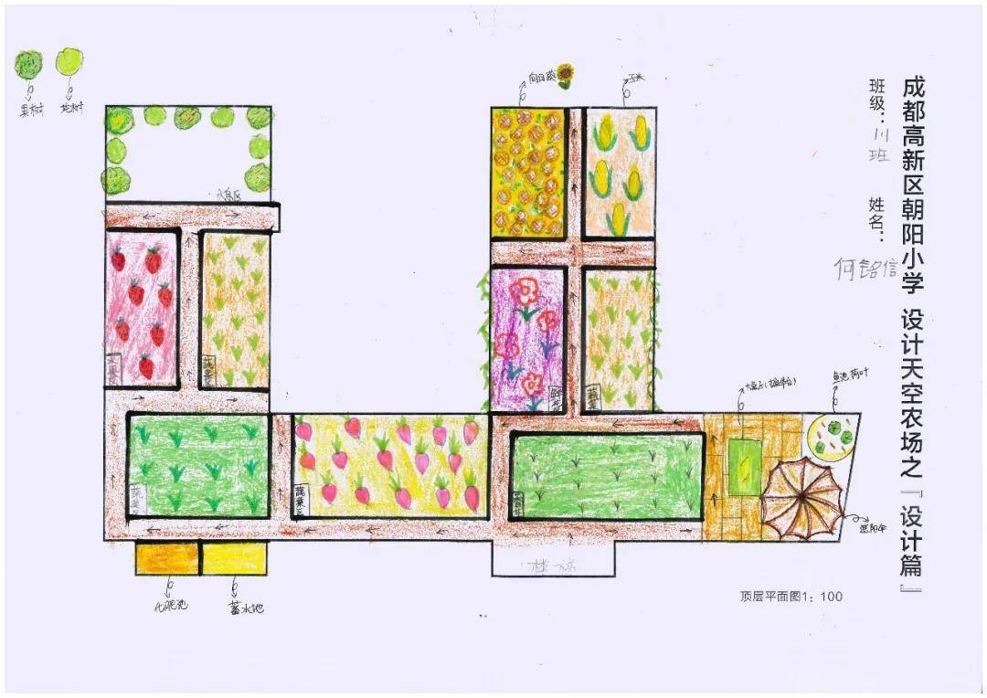 成都高新区朝阳小学:劳动课程"设计天空农场"项目学习启动啦!
