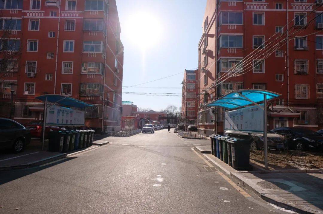 延庆街道社区齐动员垃圾分类深入人心