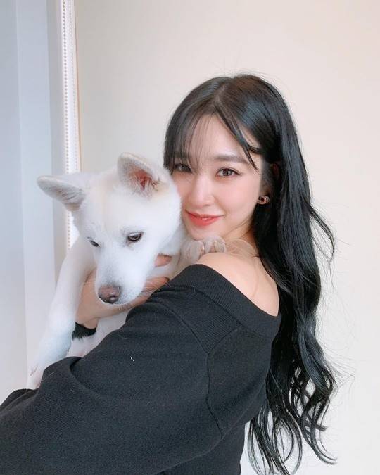 姐姐鎖骨絕美 Tiffany社交網站釋出與寵物犬合影 Kpopcorn 韓娛爆米花