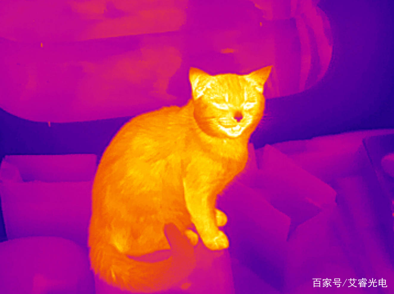 2699元150米透视黑夜手机红外热像仪开售天眼t2search