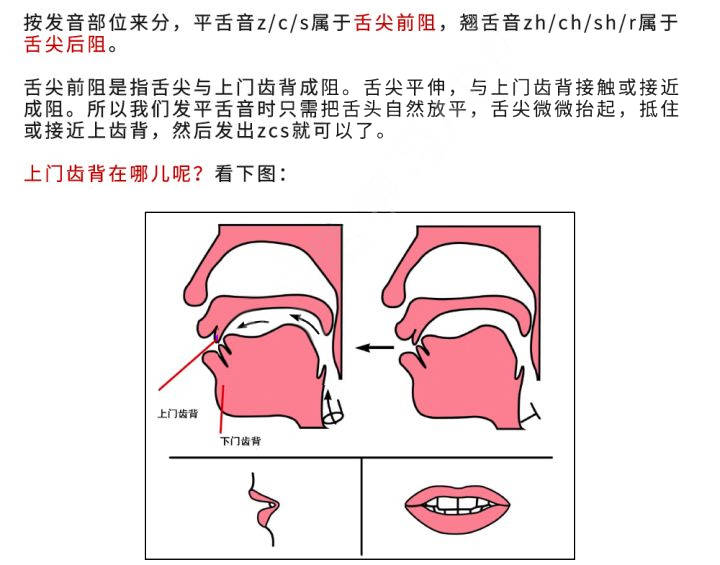平翘舌发音位置图片图片