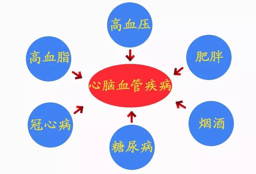 为什么冬季是心脑血管病"高发期"?_疾病