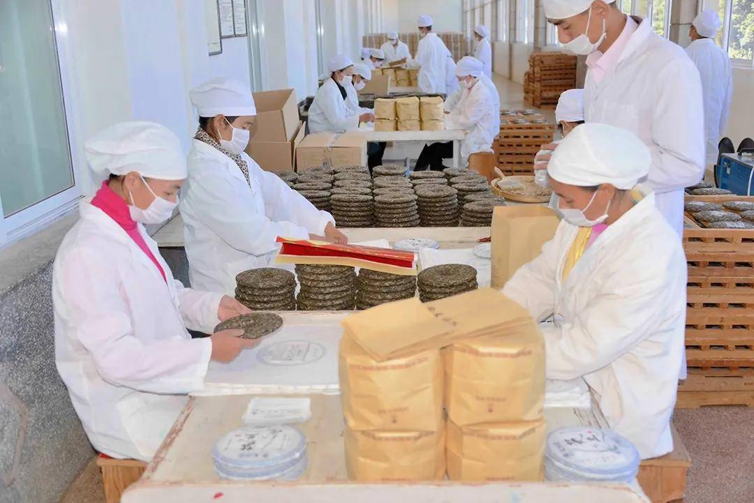 云南老字号里来了昌宁茶厂