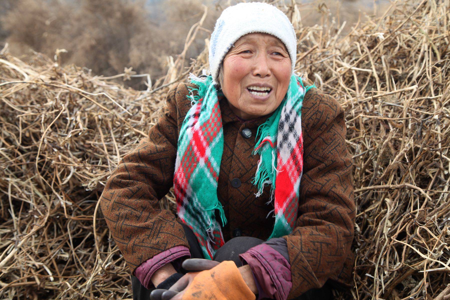 7旬老人返回农村生活,种1亩黑豆,要送给城里儿子吃_手机搜狐网