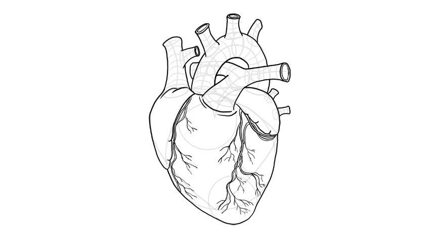 教你画出3d写实的心脏画法技巧!