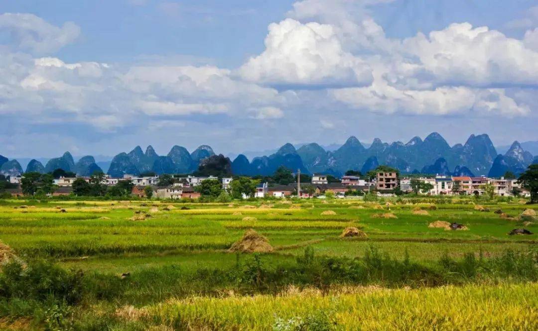 特色旅游村要以大力发展乡村旅游为前提,要以统一规划,合理开发,严格