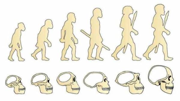 2021尼比鲁的到来能推翻进化论解开人类的起源之谜吗