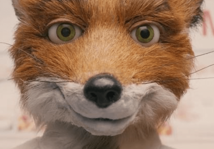 原创了不起的狐狸爸爸给现实和梦想之间搭一作桥彼此成全