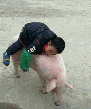 原创搞笑gif段子媳妇下田帮忙施肥看来今年可以大丰收了