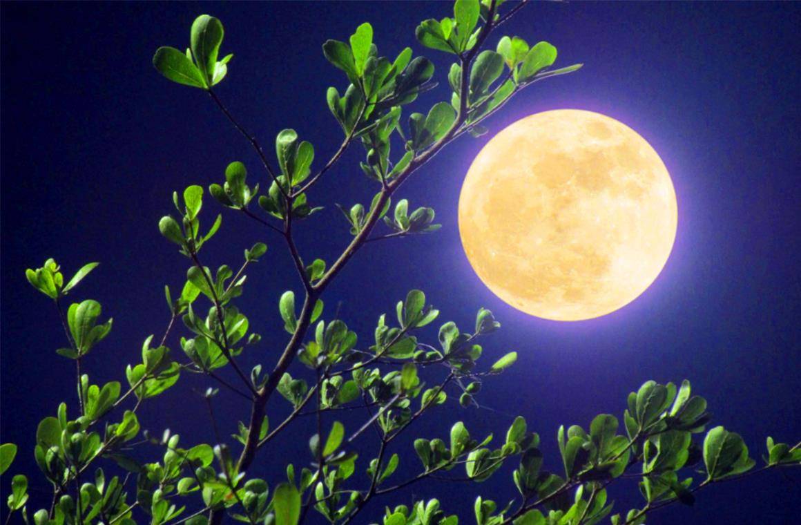 比如春节,中秋节,端午节,清明节.这四个节日是我们国家的四大传统