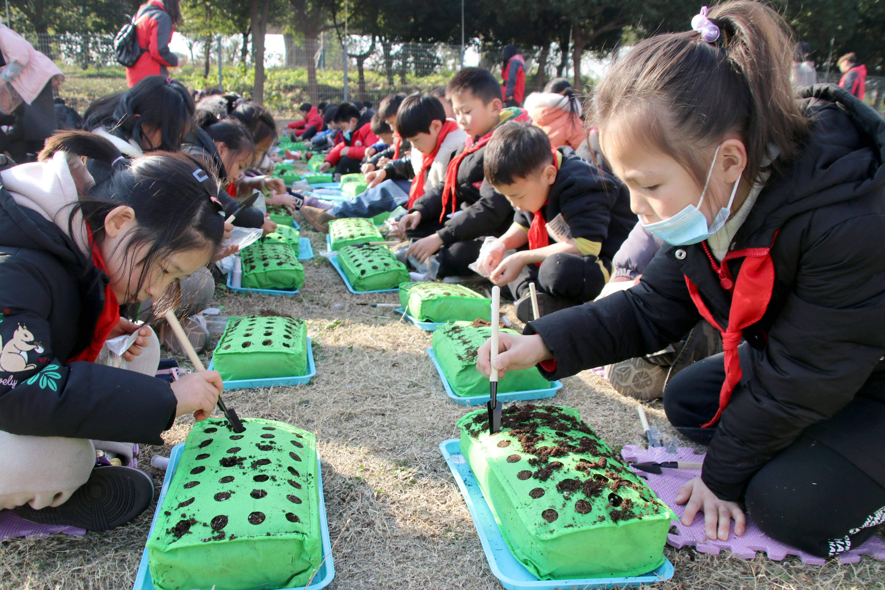 长兴县长桥中心小学图片