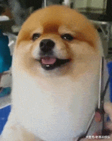 搞笑gif段子:女得要不就不喝酒,喝起酒来谁都拦不住