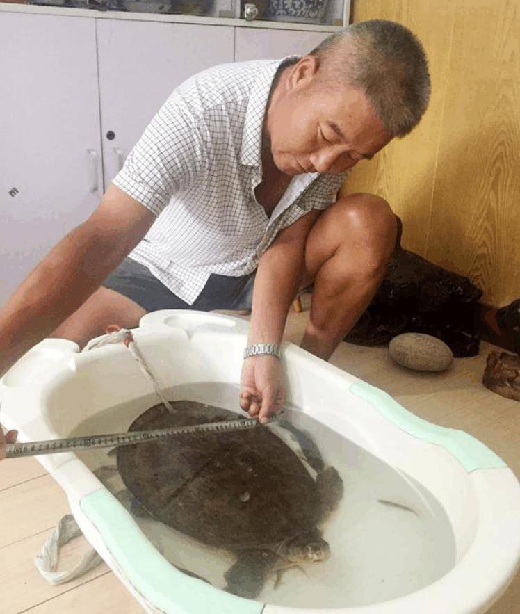 农村俗语: "瓮中鳖,偎灶猫,比翼鸟,蓬间雀", 你知道意思吗_手机搜狐网