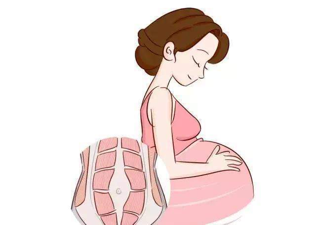 产后肚子又松又垮都是腹直肌分离惹的祸