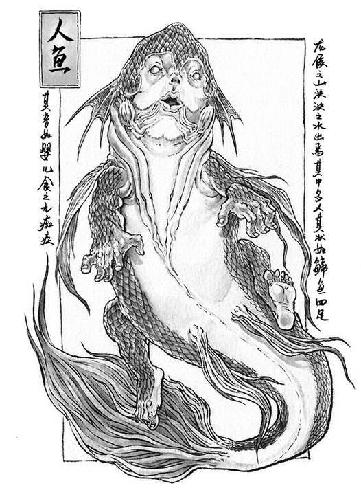 趣聊山海经竹山豪彘状如豚而白毛人鱼膏蜡烛千年不灭