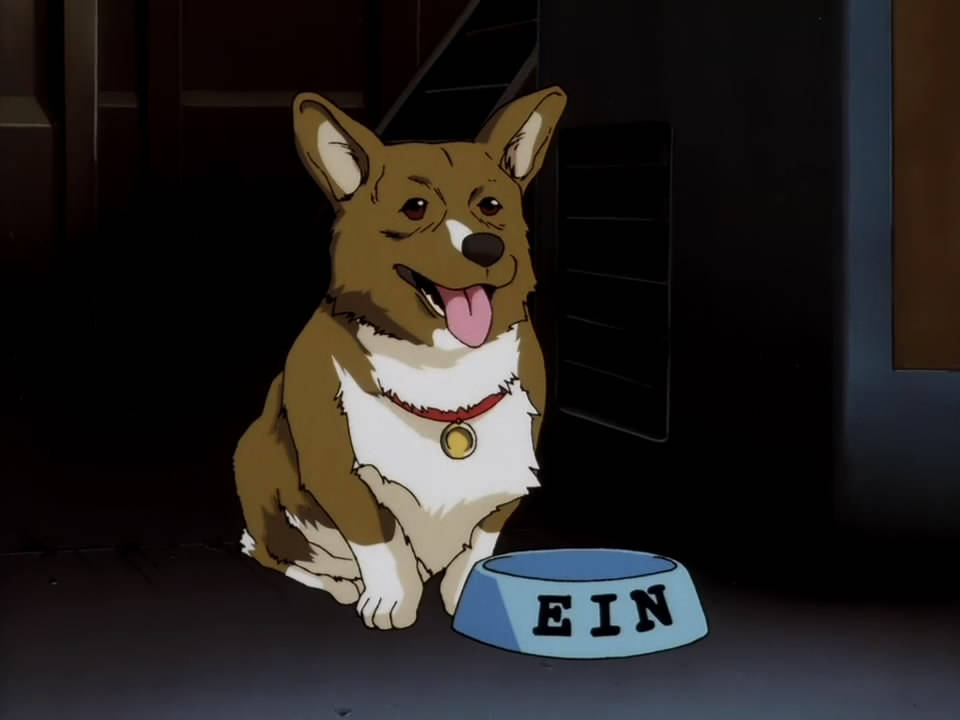 《魔卡少女樱》系列及相关衍生作品中登场的角色,守护着库洛牌之书的"