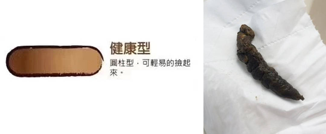 狗狗便便判断健康状态,有图-吃饭时勿进_处理