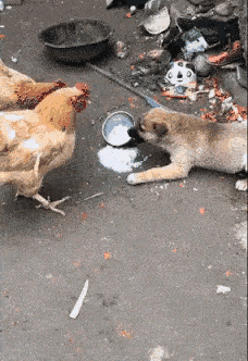 原创搞笑gif段子面对地铁摸手小哥使出杀手锏哈哈解气