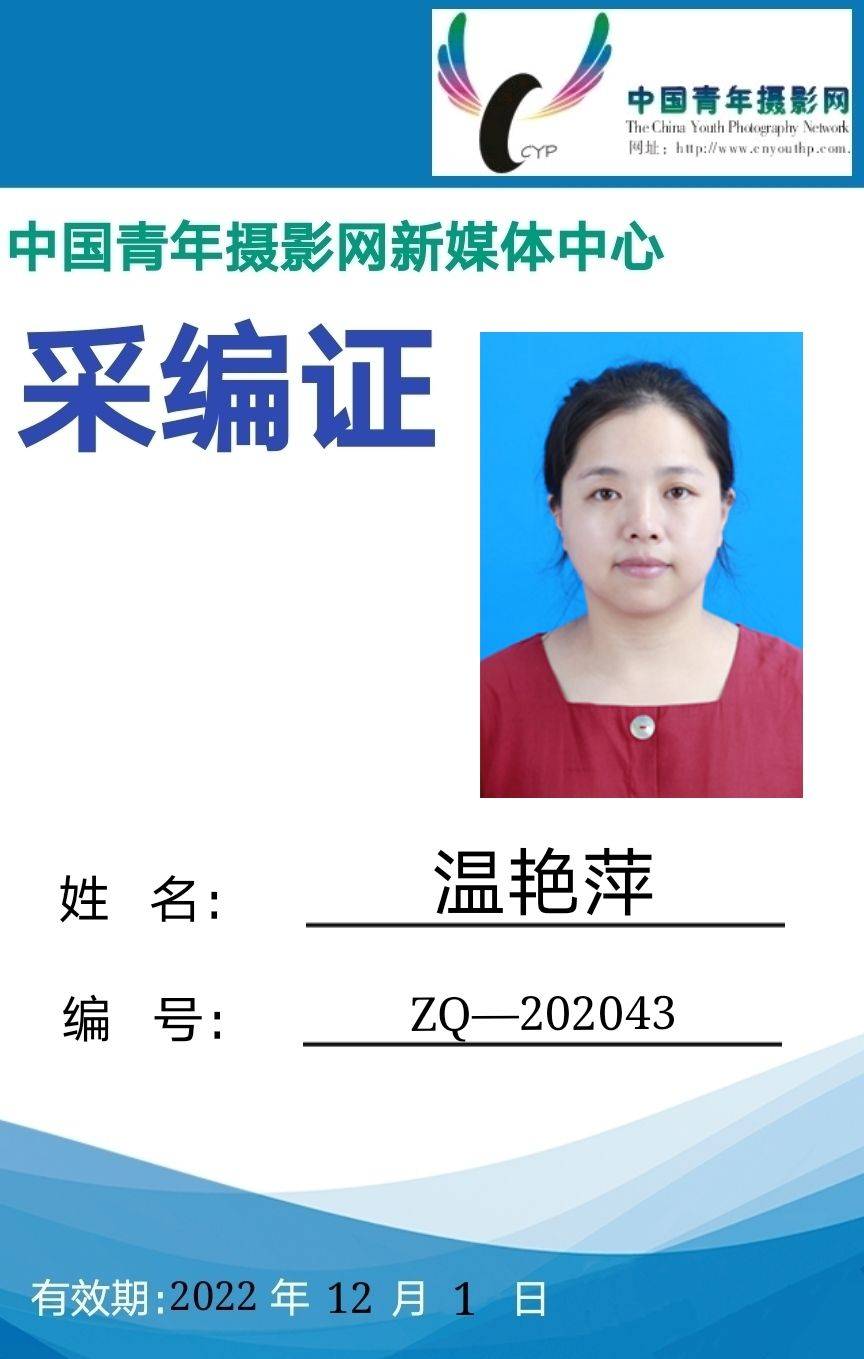 中国青年摄影网新媒体中心2020岁末公告_采编