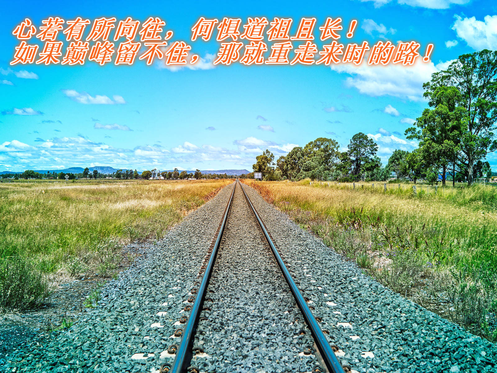 心若有所向往何惧道祖且长生活有苦但也处处有光