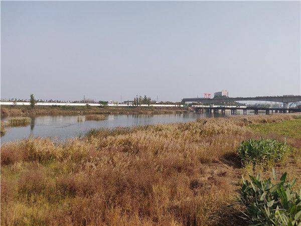 河南5家湿地公园通过国家级验收，快看有没有你的家乡?