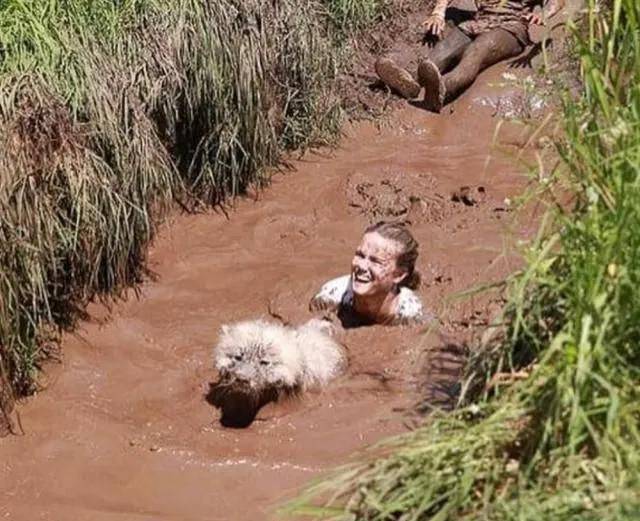 主人带萨摩耶一起滚泥巴人和狗都笑得很开心真会玩