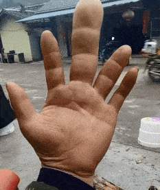 233_277gif 动态图 动图