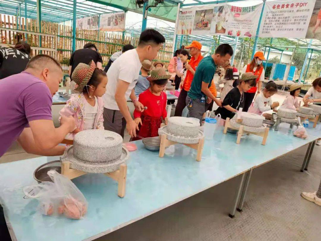 道滘飞鸭开心农场图片