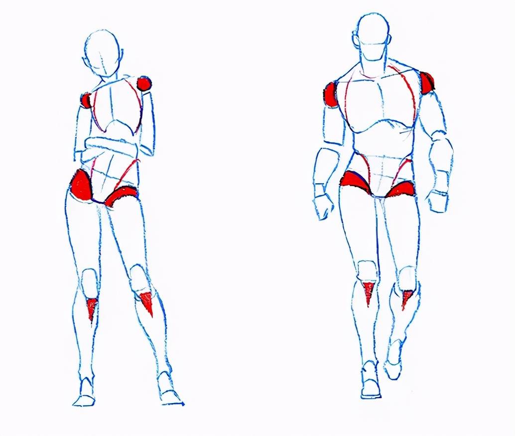 原畫|人體造型的正確與否直接決定了你的畫面的效果