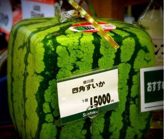 韩国游客在中国卖西瓜惨遭拒绝，老板：怪不得我，没见过这样买的