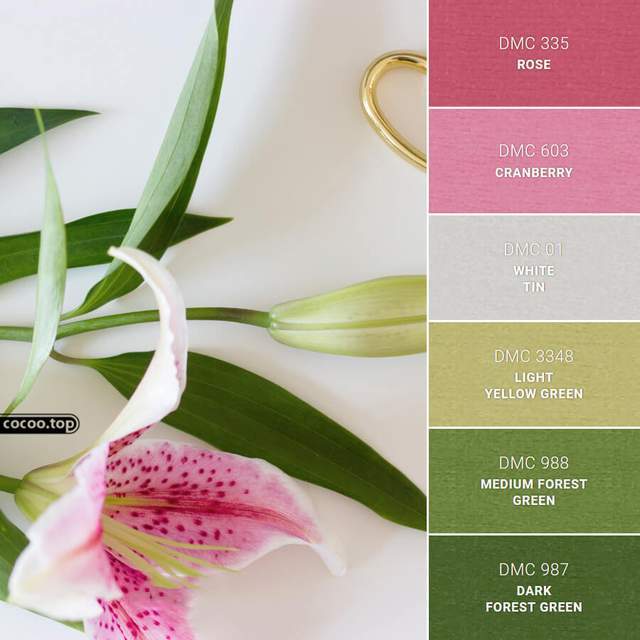 一组色彩搭配方案!给你好看的