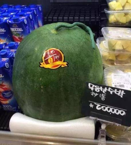 韩国游客在中国卖西瓜惨遭拒绝，老板：怪不得我，没见过这样买的
