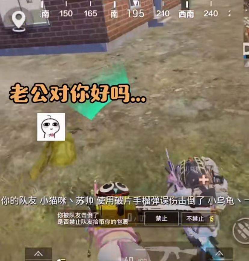 《和平精英》老玩家专属福利永久胖达3选1