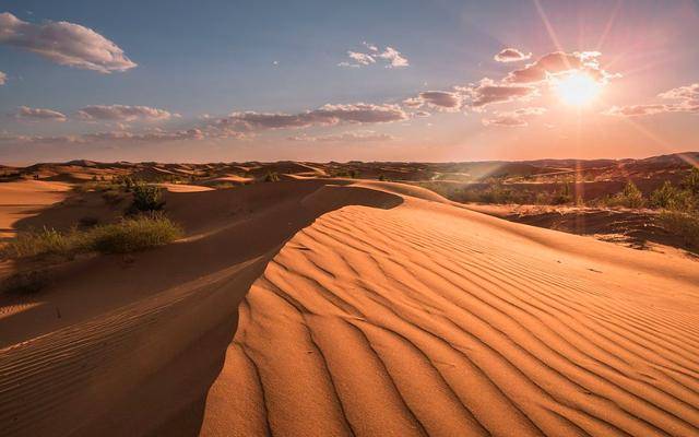 为什么缺水的沙漠，如果连降24小时骤雨，当地人会感到烦恼呢？