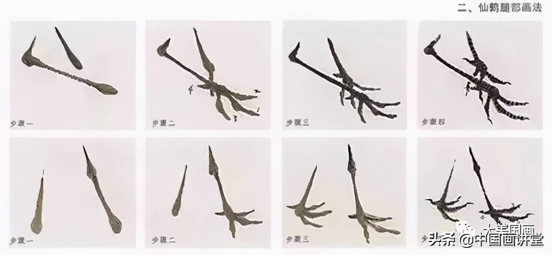 松鹤画法集锦(学仙鹤的绝佳素材!