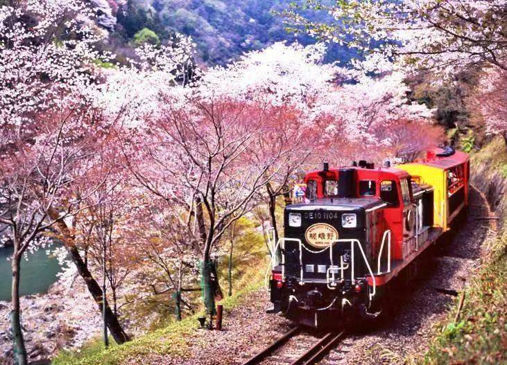 1,网红峡谷小火车游 乐 类有人问我们2020年锦里沟在干嘛,好像没啥