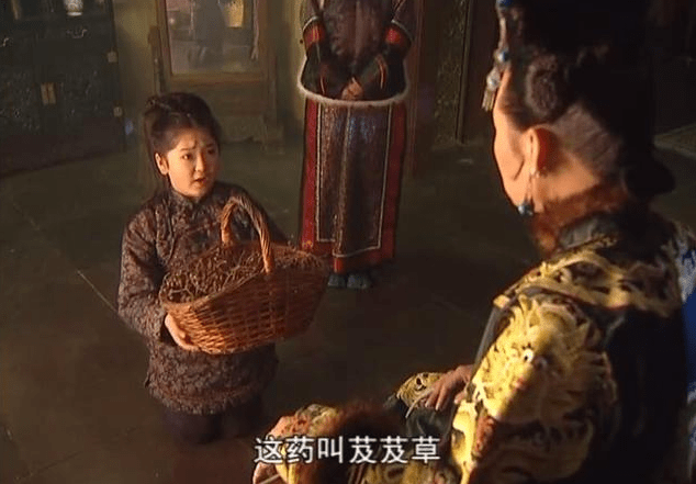 原创康熙王朝:孝庄凭什么信村姑送来的芨芨草可以救治昏迷康熙?