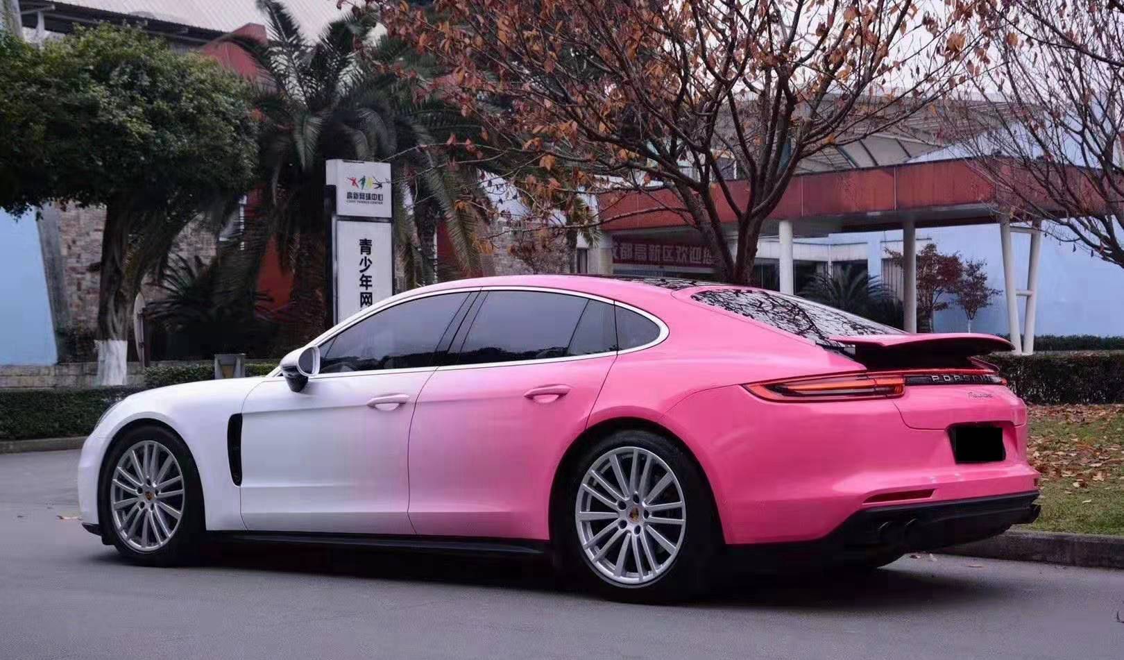 帕拉梅拉2021新款粉色图片