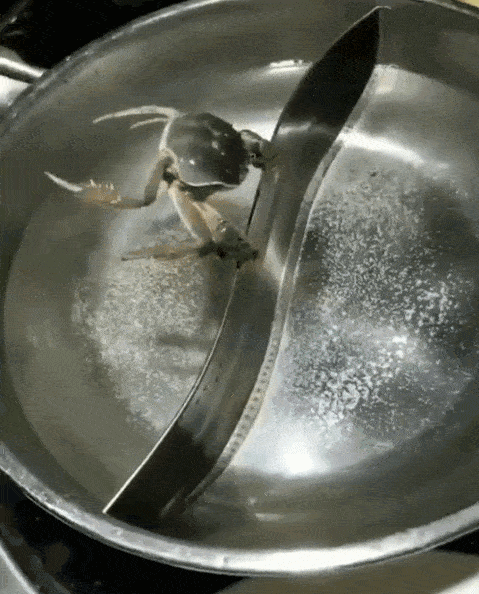 爆笑gif:人生就是呼吸,呼是为了出一口气,吸是为了争一口气._女神