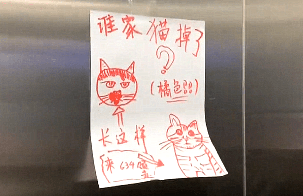 原创电梯里有张寻猫启事,画得跟闹着玩一样,随后却忍不住想点赞了