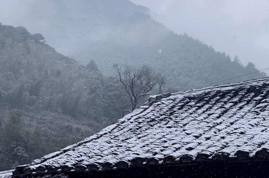 下雪了!一大波乡村雪景照等你欣赏