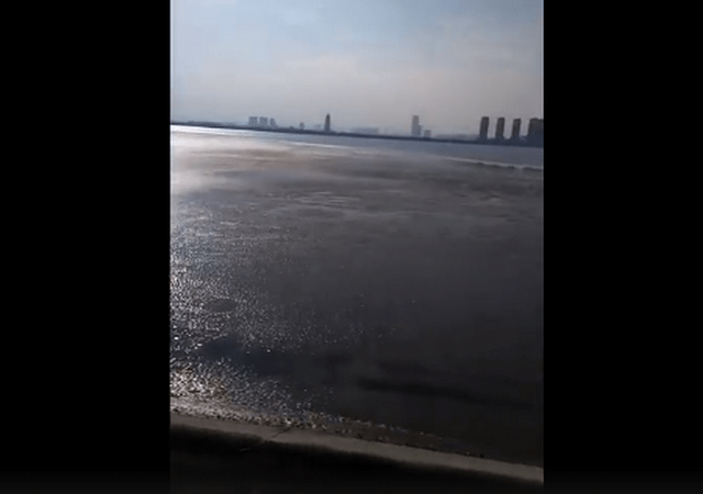 钱塘江都结冰了，青岛海边浪花也直接被冻住，市民拍下罕见一幕！