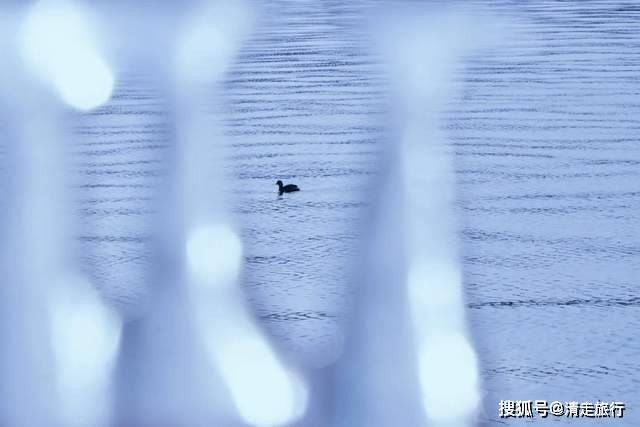极寒之冬的杭州，连续零下天气导致西湖结冰？到底是真是假？