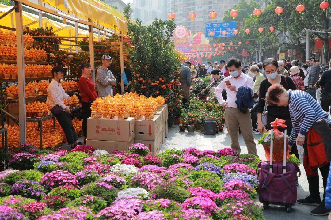 花卉批发市场从哪拿货(花卉市场的花卉哪里进货)