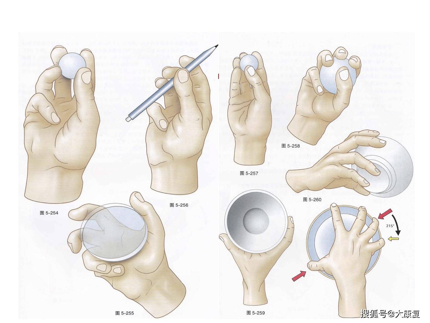 手功能障碍精准评估与治疗
