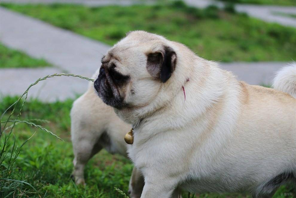 5514d5a263ea4434ad1504795508444b.jpeg