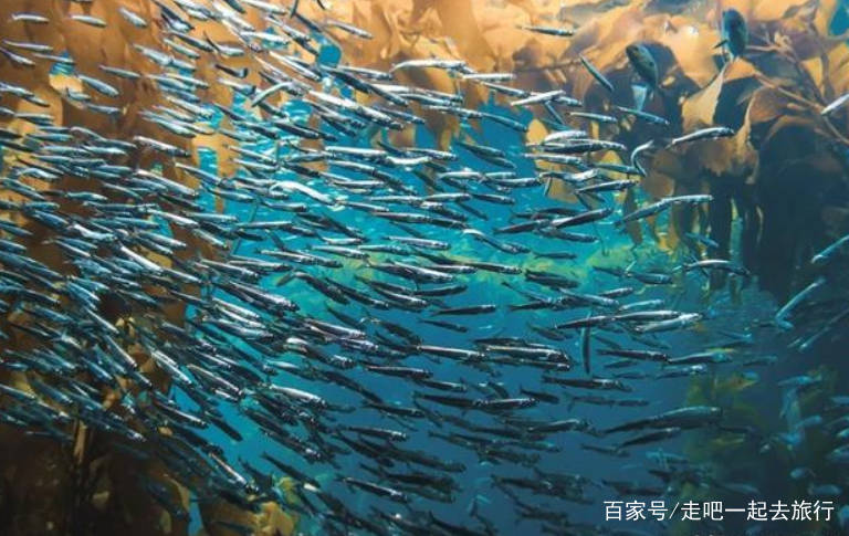 全球鱼最多的湖就在我们中国，有8亿公斤，但就是没人敢去野钓！