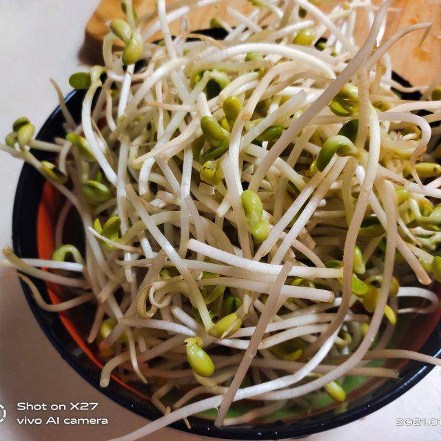 豆芽怎么炒好吃家常做法 6817e34a0b47499eaec337dcaef3859e.jpeg